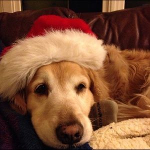 Meet your Posher, Mallory